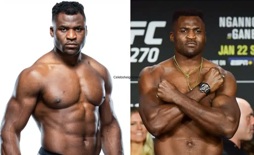 Francis Ngannou Height and Weight